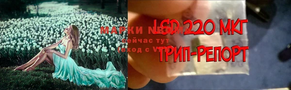 экстази Баксан