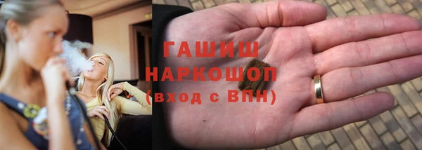 прущие грибы Армянск