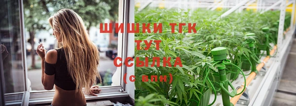 мет Арсеньев