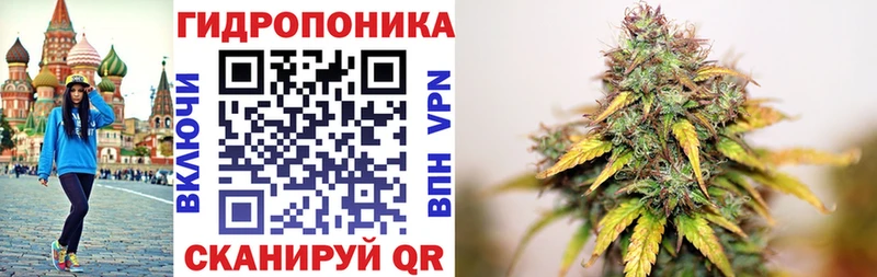 Марихуана план  купить  цена  Серов 